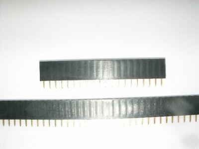 40 pin 2.54 mm straight female header (2 pieces)