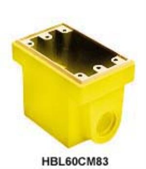 Hubbell HBL60CM83 weatherproof box