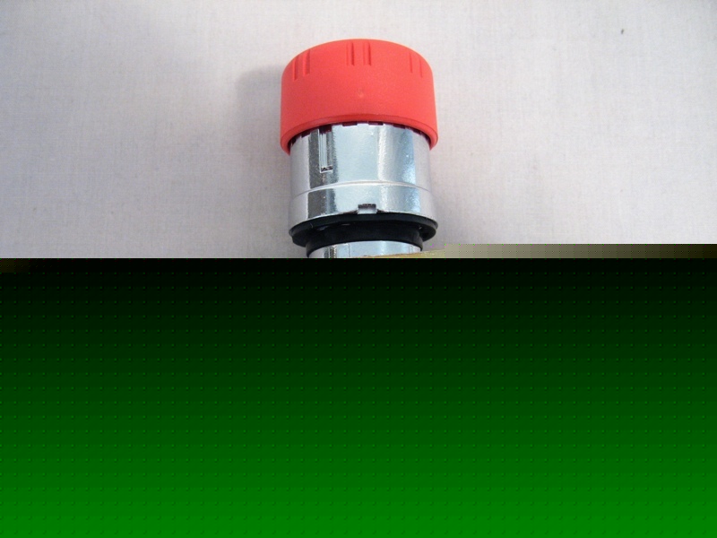 Push-turn-release pushbutton telemacanique 22MM dia