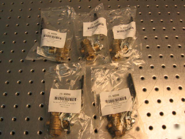 G34244 five grainger 6GD06 1/4